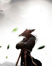 天命武君