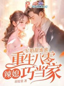 军婚甜蜜蜜，重生八零辣媳巧当家